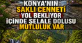 Konya'nın saklı cenneti yol bekliyor: İçinde şelale dolusu mutluluk var