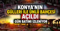 Konya'nın gülleri ile ünlü bahçesi açıldı: Gün batımını izletiyor