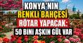 Konya'nın renkli bahçesi rötar yapacak: Binlerce gül hazırlanıyor