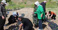 Konya'nın ulu çınarları sebze bahçesine bereket dikti