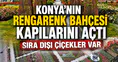 Konya’nın rengarenk bahçesi kapılarını açtı: Sıra dışı çiçekler var