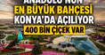 Konya’nın 400 bin çiçekli dev bahçesi açılıyor: Selçuklu rengarenk olacak