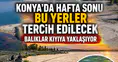 Konya'da hafta sonu bu yerler tercih edilecek: Balıklar kıyıya yaklaşıyor