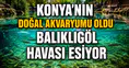 Konya’nın doğal akvaryumu oldu: Balıklıgöl havası esiyor