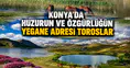 Konya'da huzurun ve özgürlüğün bir numaralı adresi: Toroslar