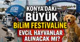 Konya’daki büyük bilim festivaline evcil hayvanlar alınacak mı?
