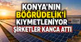 Konya’nın Böğrüdelik’i kıymetleniyor: Şirketler kanca attı