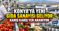 Konya'ya yeni gıda sanayisi geliyor: Karış karış yer aranıyor
