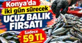Konya’da iki gün sürecek ucuz balık fırsatı: Sadece 59 TL