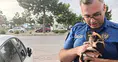 Konya'da polis ve bekçi yavru kedi için seferber oldu