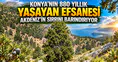 Konya’nın 880 yıllık yaşayan efsanesi: Akdeniz’in sırrını barındırıyor