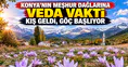 Konya'nın meşhur dağlarına veda vakti: Kış geldi, göç başlıyor