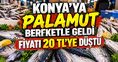 Konya’ya palamut bereketle geldi: Fiyatı 20 TL’ye düştü
