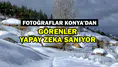 Konya'nın gizemle dolu yaylası: Tarih beyazları giydi
