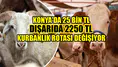 Konya'da 25 bin TL dışarıda 2250 TL: Kurbanlık rotası değişiyor