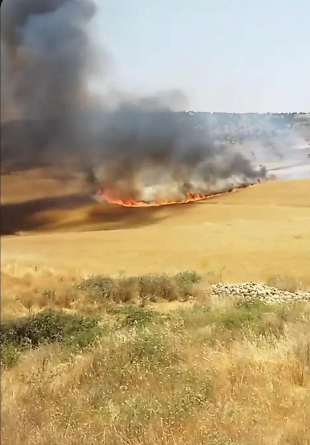 130 dönümlük buğday tarlası küle döndü