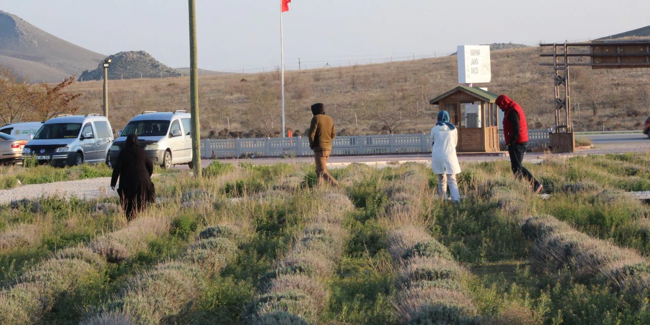 Tatilin son gününde Konya'ya akın başladı! En çok oralar ziyaret edildi