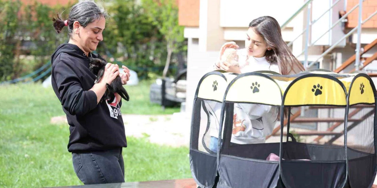 Bu kadarına pes dedirtti, 4 yavru kediyi çöpe attı