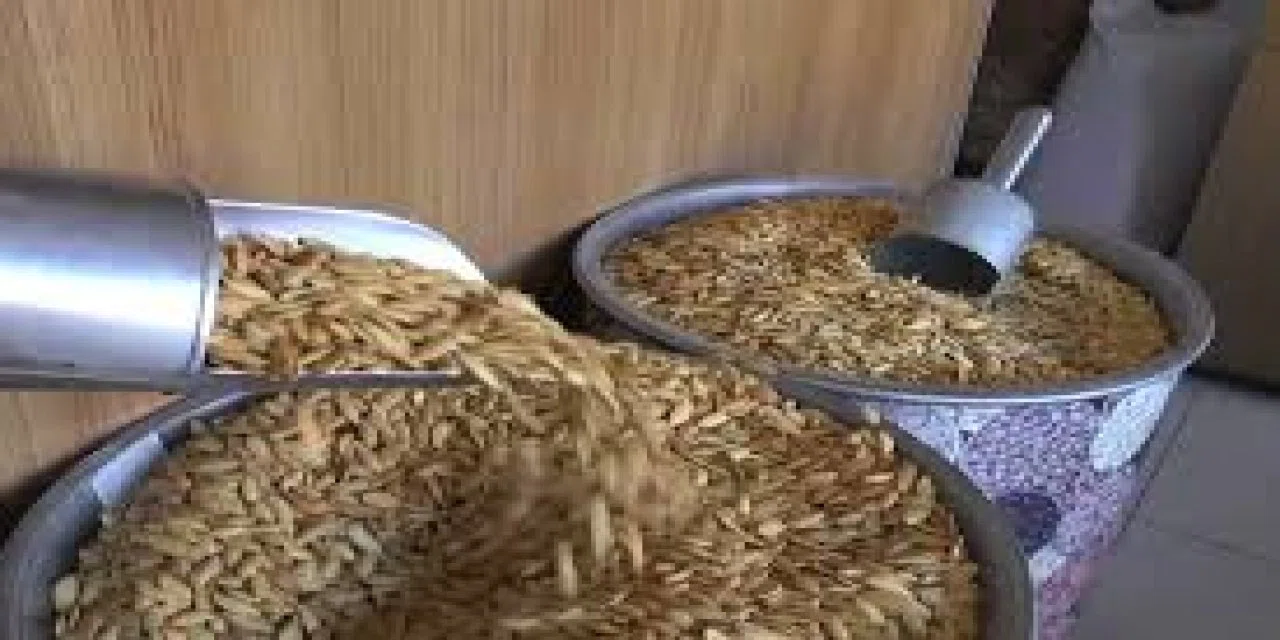 Kabak çekirdeği kabuğuyla tüketilir mi? Kabuğuyla tüketirseniz bakın ne işe yarıyor