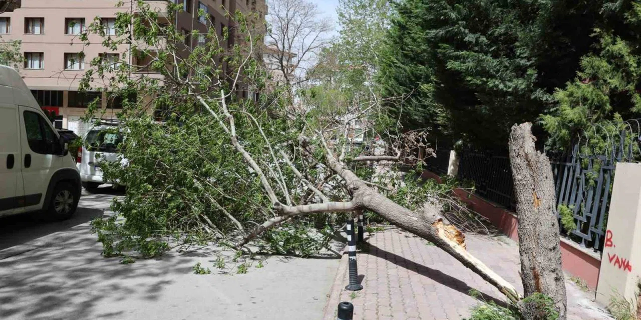 Meteorolojiden kuvvetli fırtına uyarısı