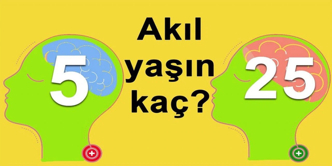 Senin akıl yaşın kaç? Bu kolay ve pratik test sayesinde akıl yaşınızı öğrenmeniz mümkün