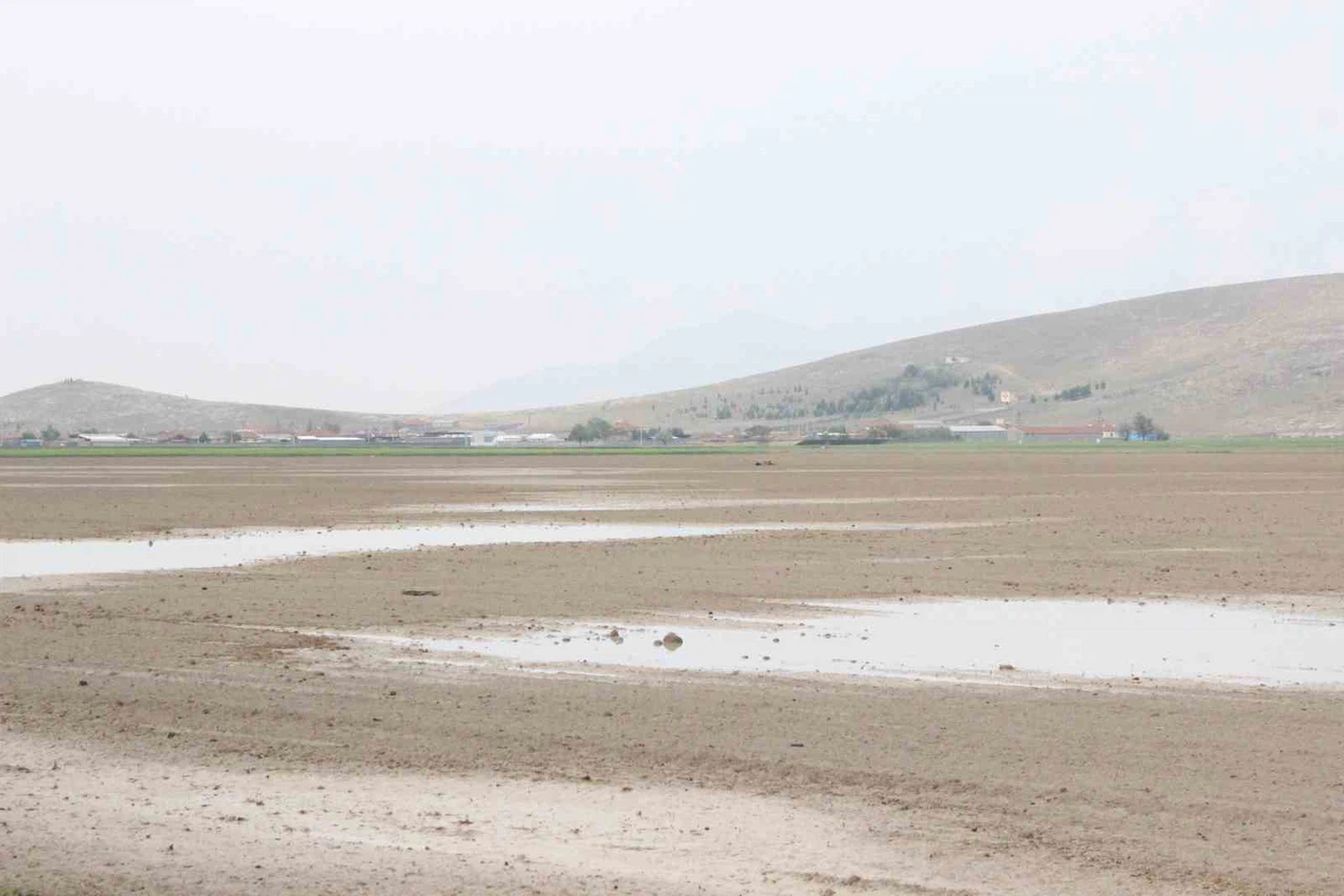 Aniden yağan dolu ekili arazilerde zarara yol açtı