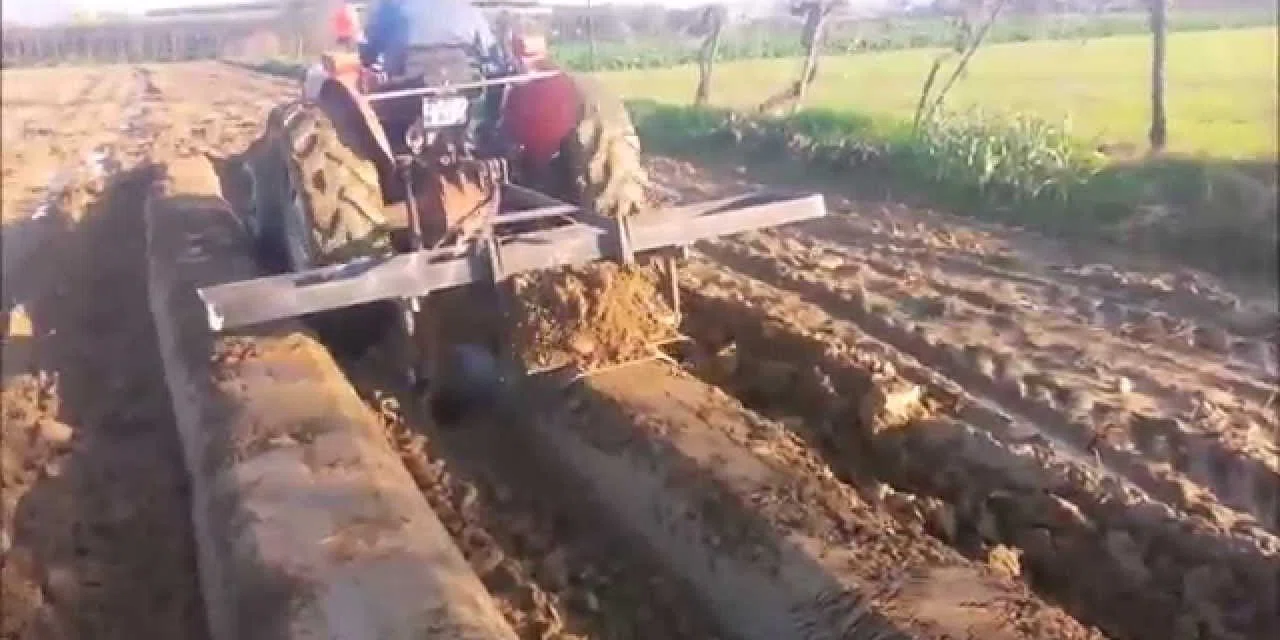 Sabahın erken saatlerinde hasat ediliyor. Neredeyse bir paketi 100 TL'den satılıyor. En verimli meyveymiş
