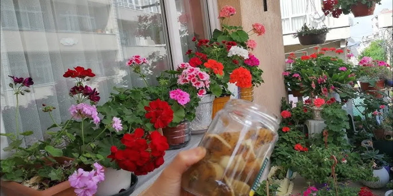 Solmakta olan çiçeği kurtarmanızı sağlayacak 3 yöntem. İş işten geçmeden denemelisiniz