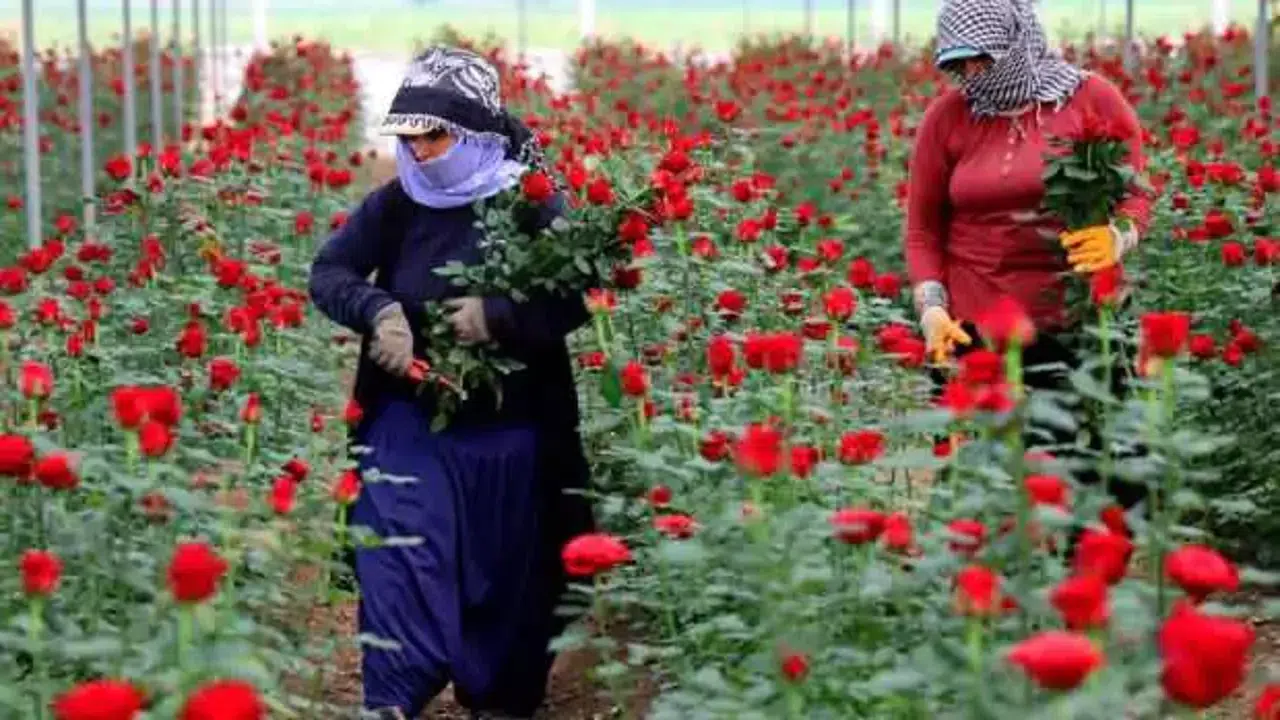Emekli öğretmen Emel Sayın'dan Anneler Günü şiiri