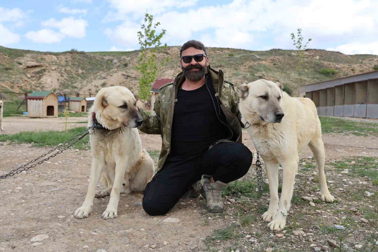 1965 yılında 3 Arkeolog Konya'dan İngiltere'ye hangi köpekleri götürdü? İşte o köpeklerin gizemi