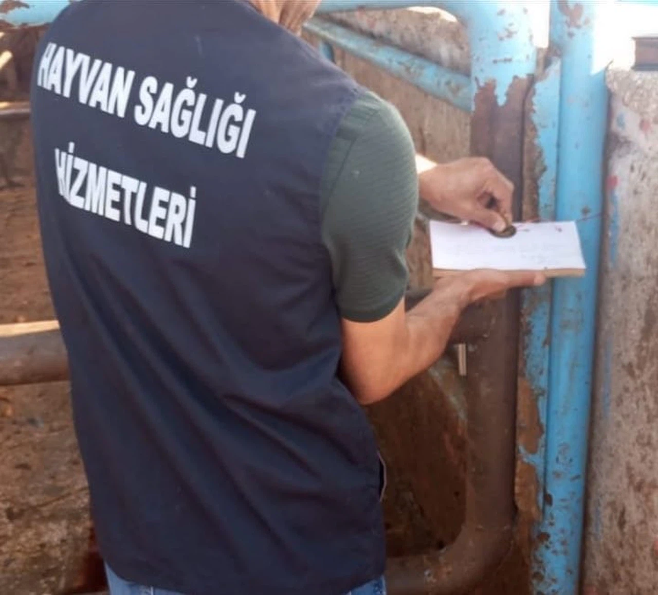 Acil kodlu! Türkiye'de bütün hayvan pazarları kapatıldı
