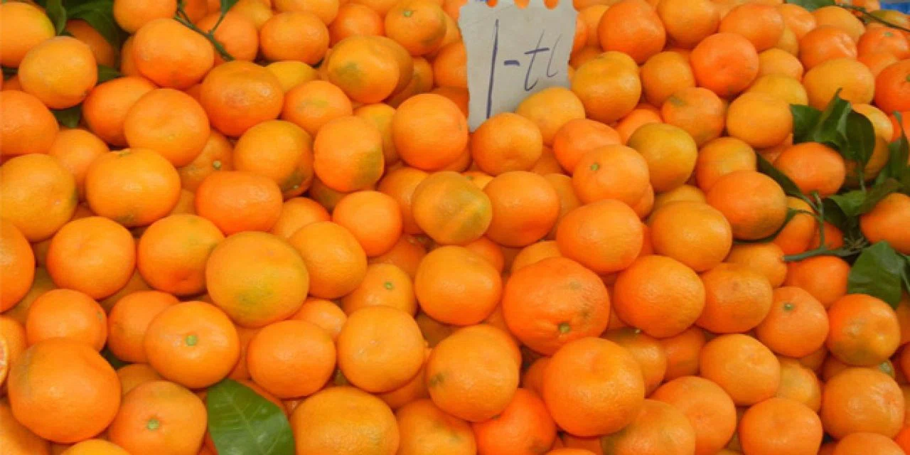Mandalina kabuklarıyla neler yapılabilir? Mandalina kabuklarını değerlendirmenin 3 yolu