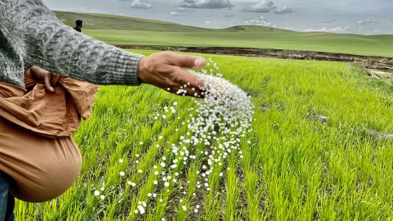 Konya Şeker'in gübrelerinde gerçek ortaya çıktı! İşte belgeler