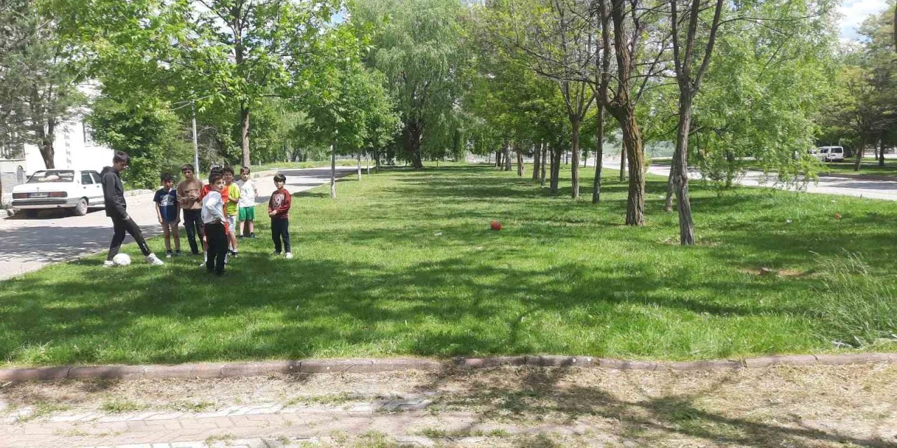 Başıboş köpekler yine dehşet saçtı