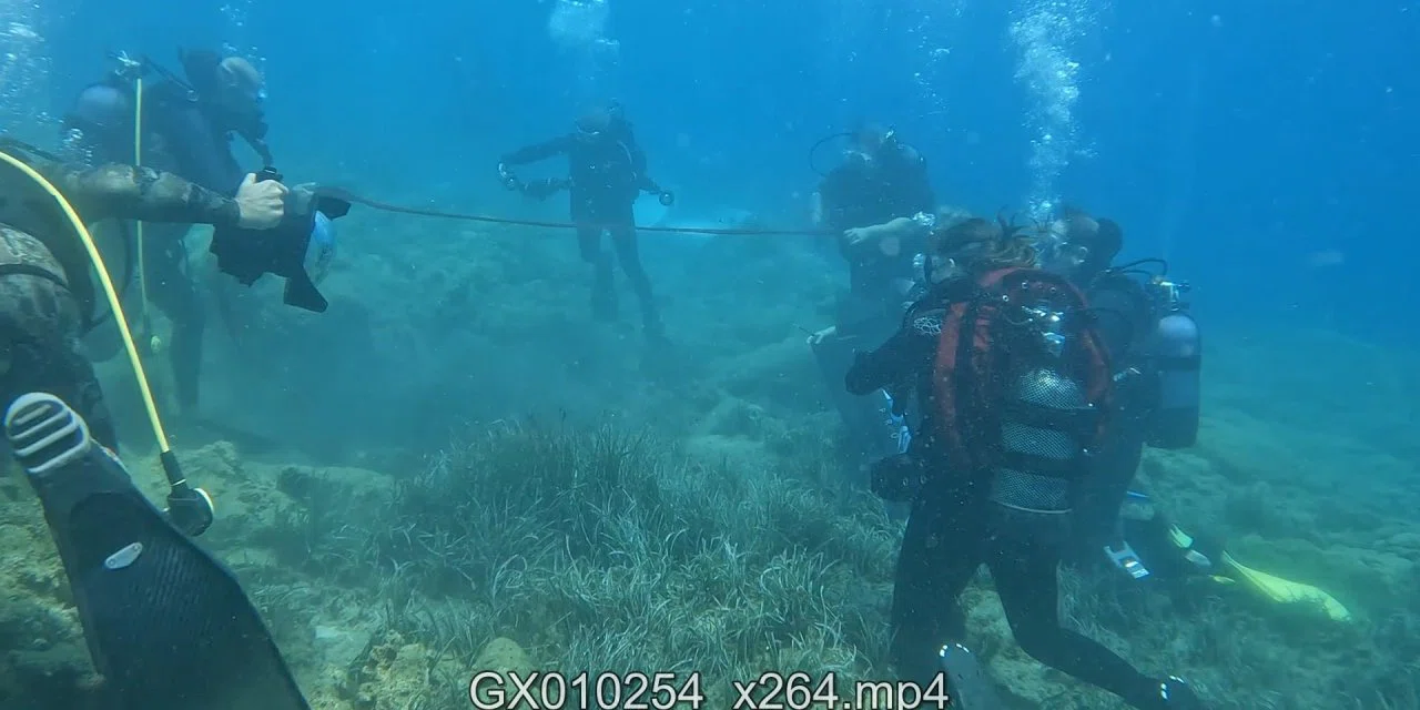 Deniz dibindeki sergiyi görenler gözlerine inanamadı