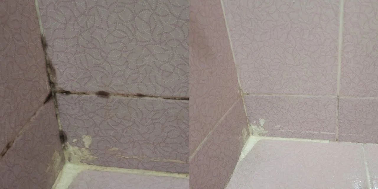 Yaz aylarında çok daha fazla oluyor. Fayans aralarını pırıl pırıl yapan 2 doğal karışım