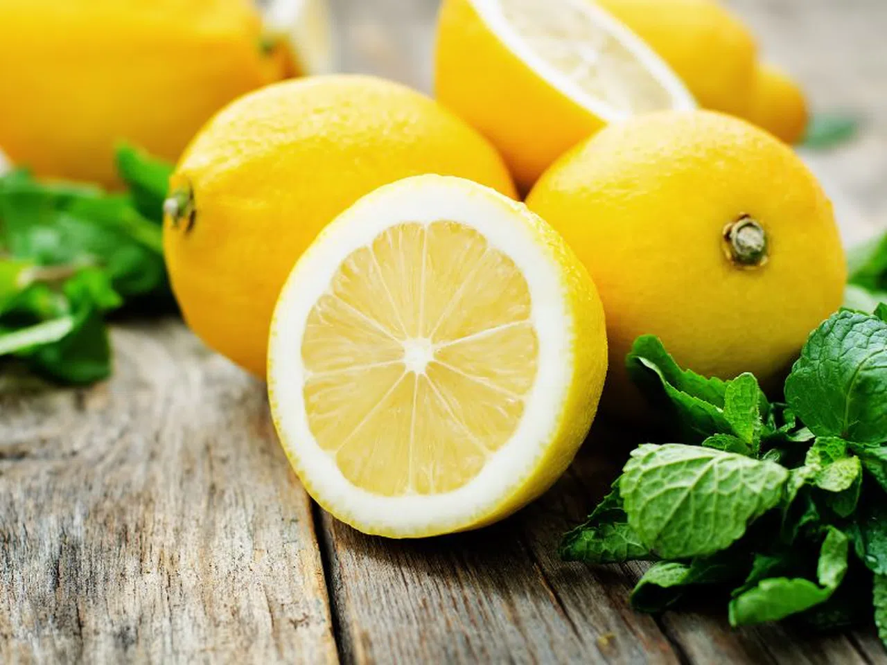 Limon ihracatı durduruldu