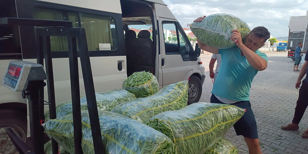 Ayşe kadın fasulyesi artık Ayşe Hanımefendi oldu! Tarladan 70 liraya çıkıyor