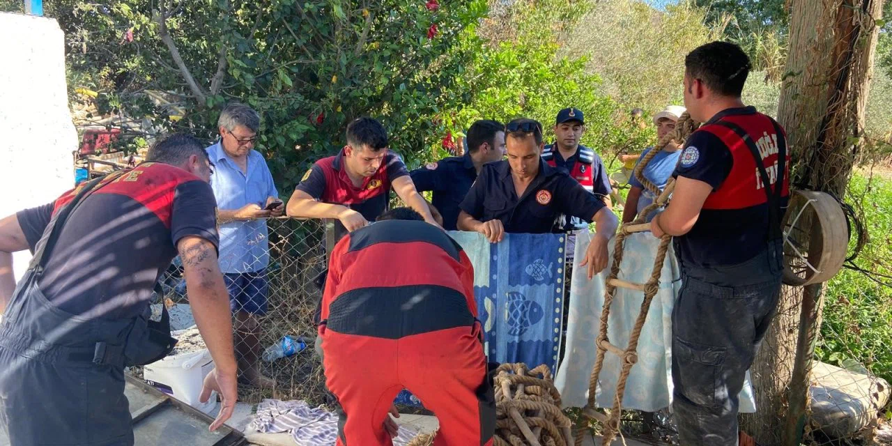 Evini ateşe verip kendini kuyuya atan şahıs, tedavisinin ardından tutuklandı