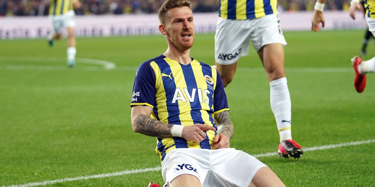 Serdar Aziz'in Fenerbahçe karnesi