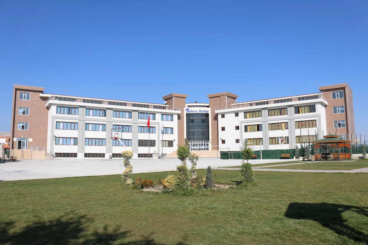 Tedem Koleji'nden büyük başarı