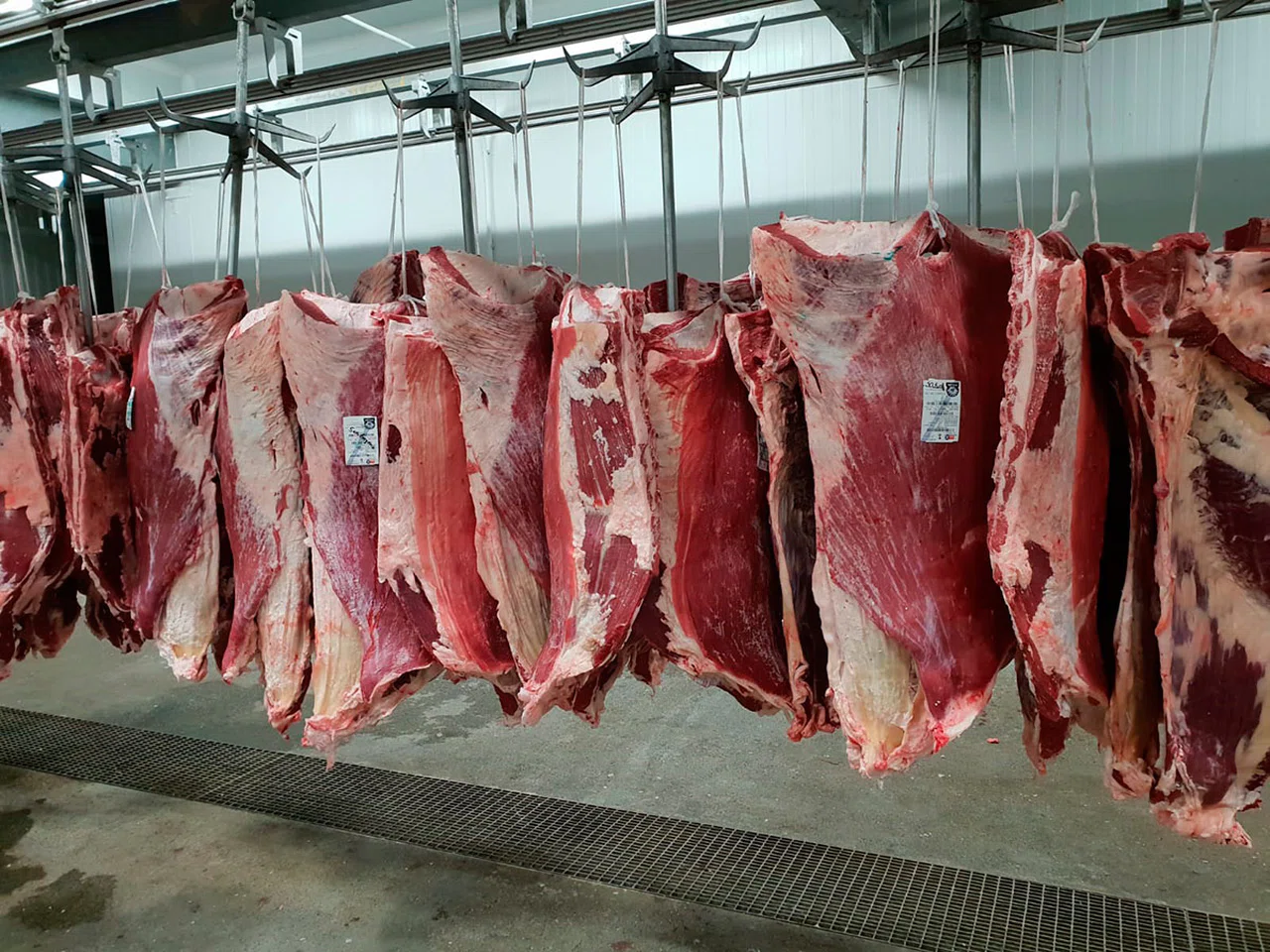 UKON açıkladı! Dana ve kuzu eti fiyatları giderek düşüyor