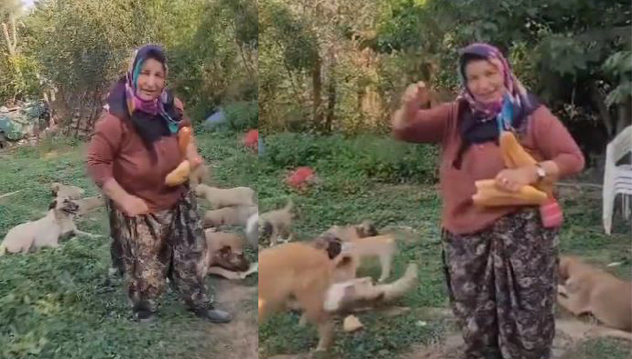Konyalı Rukiye abladan hayvan yasasına tepki