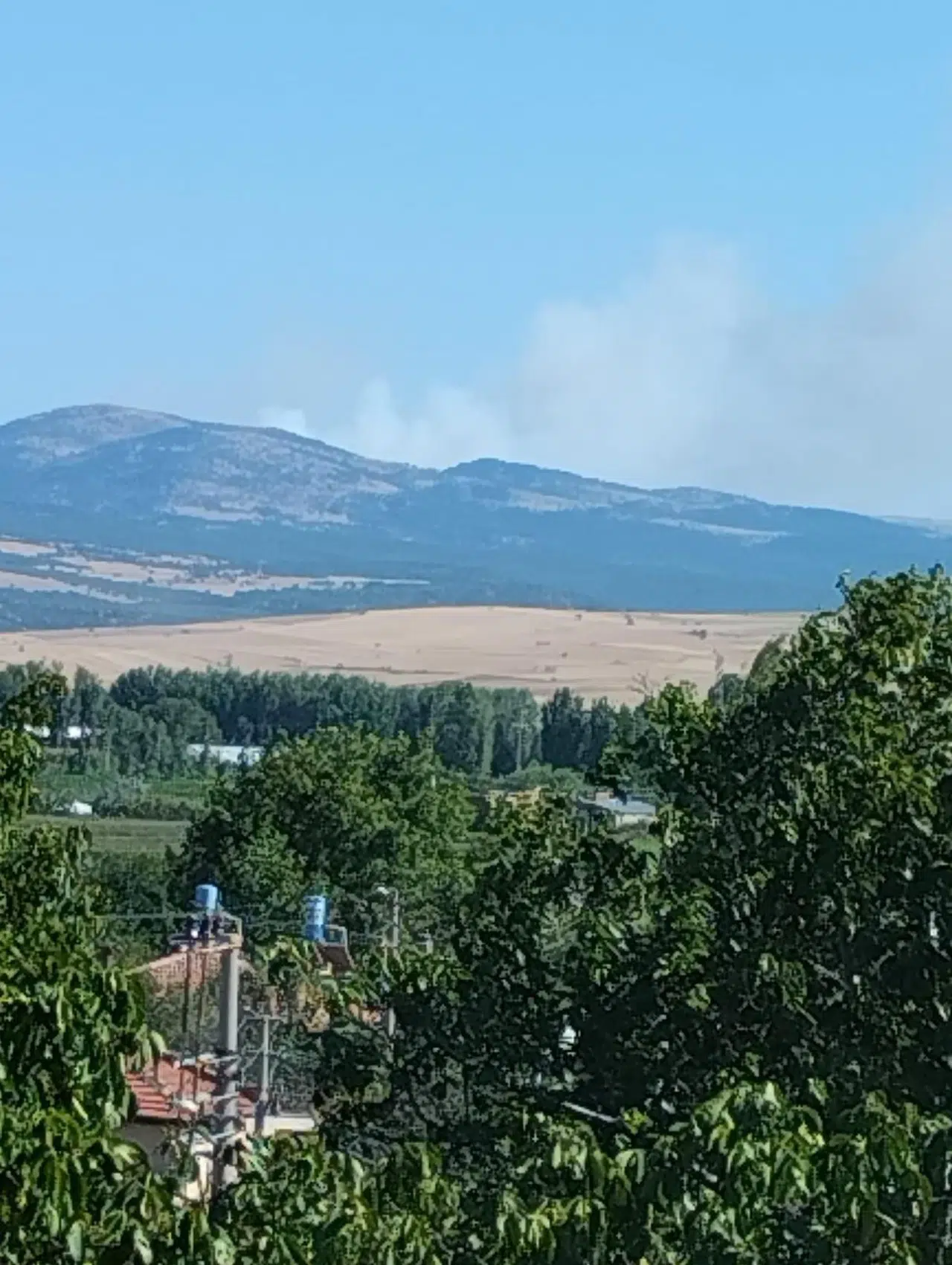 Konya'da orman yangını çıktı! Ekipler müdahale ediyor