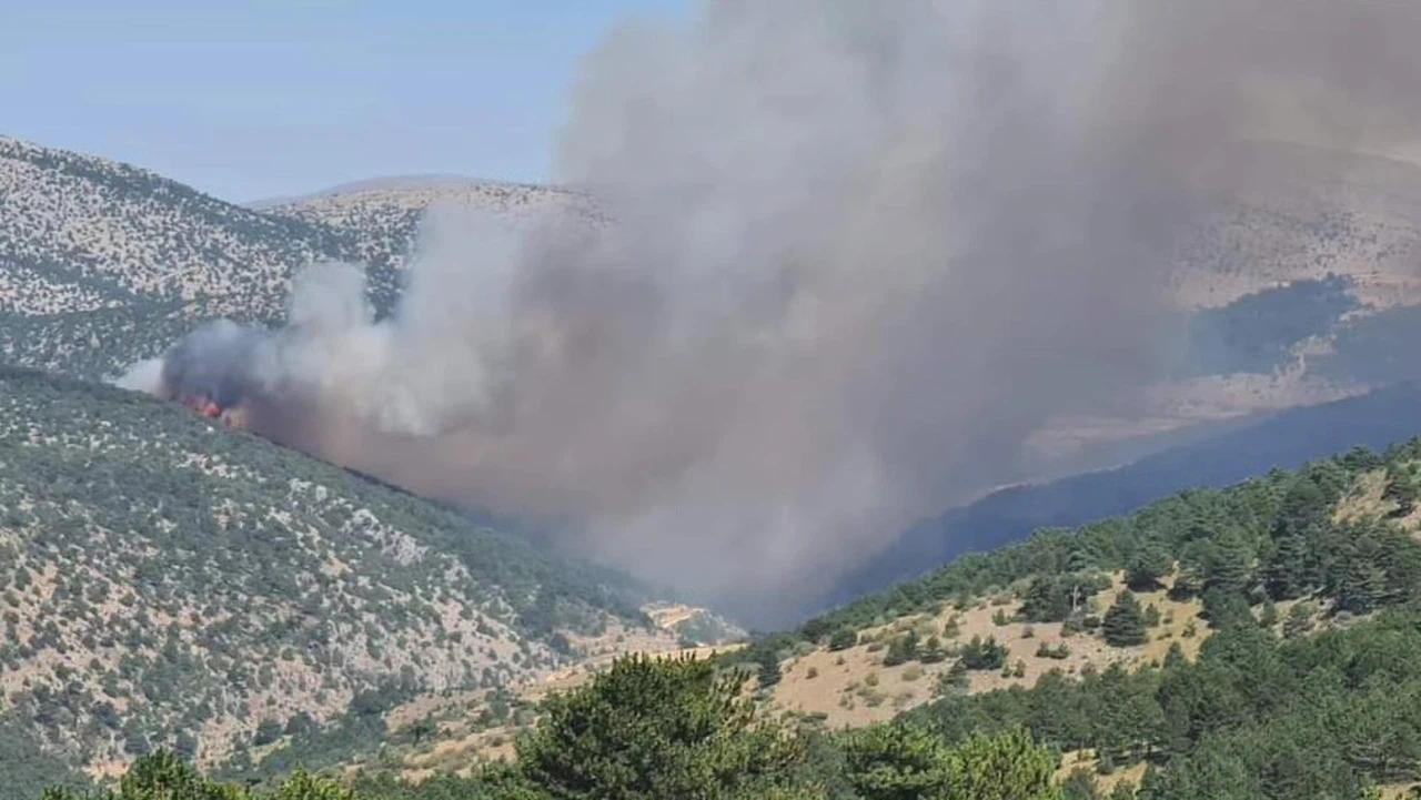 Konya'da çıkan orman yangınında son durum ne?