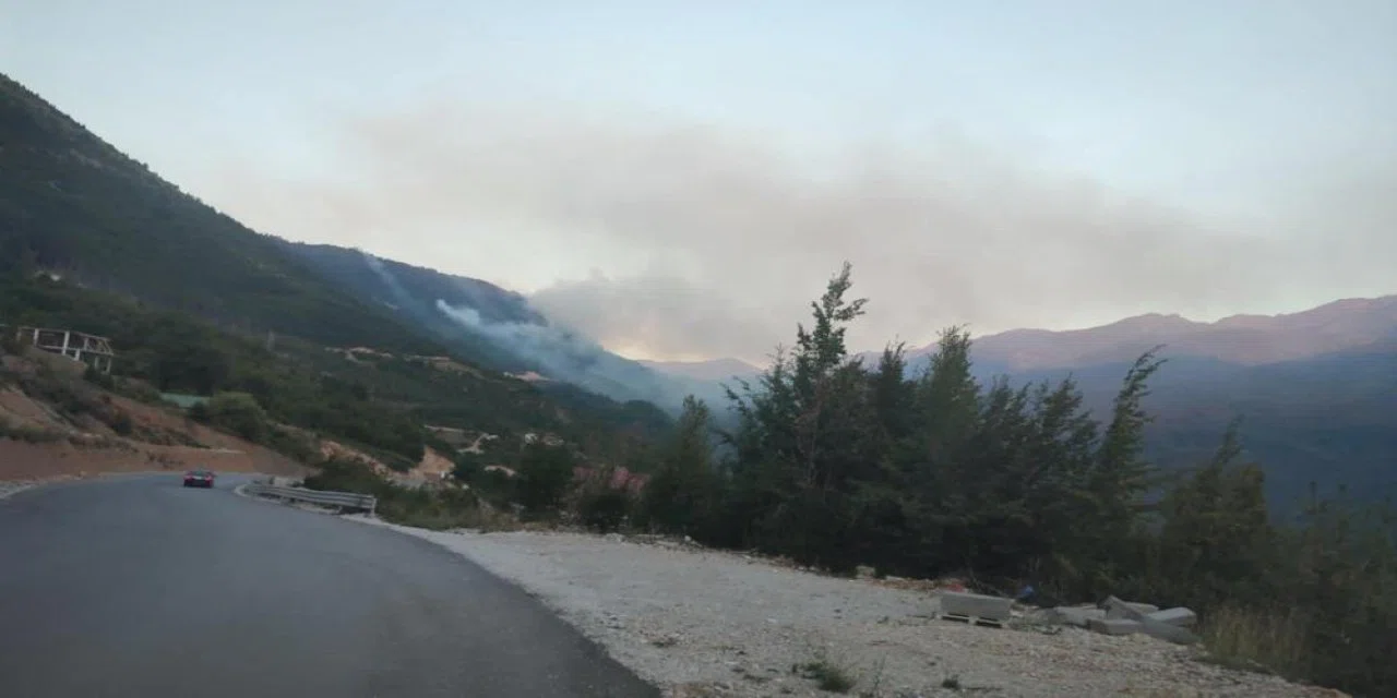 Ormanlık alandaki yangın turistik köye yaklaşıyor