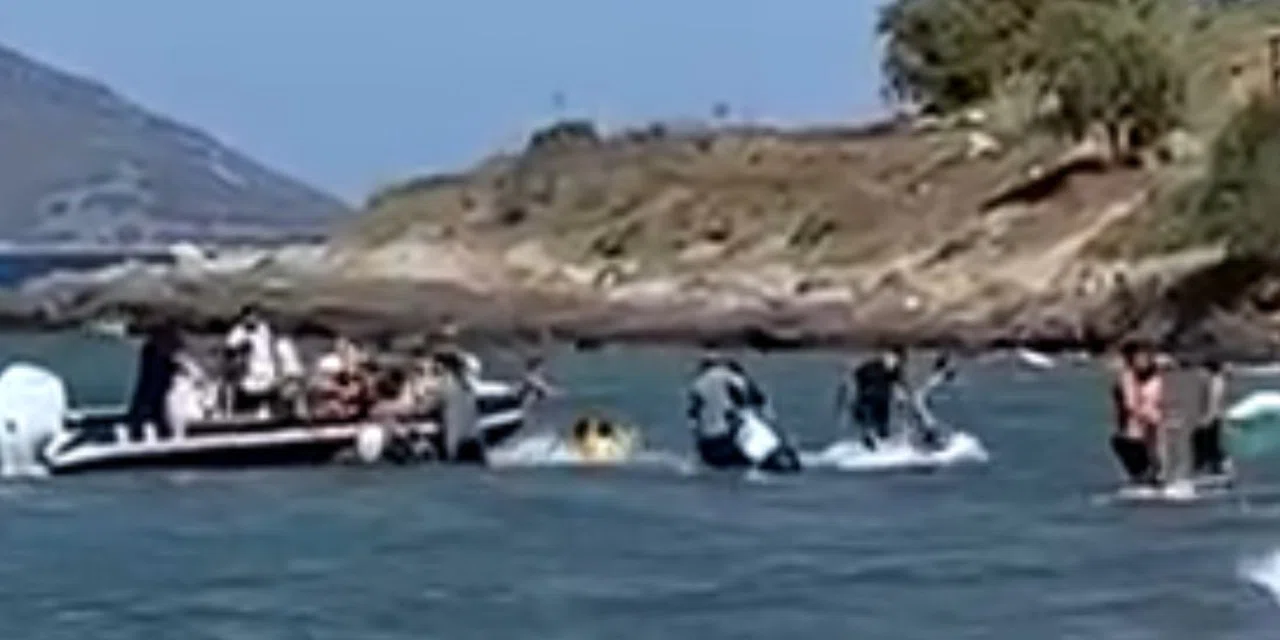 Turistlerin gözü önünde mültecilerin kaçışı herkesi şok etti