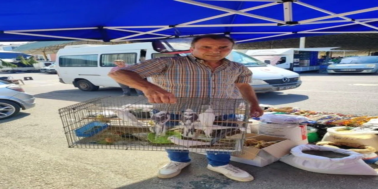 Antalya’da kaçak papağan operasyonu: 16 kuşa el konuldu