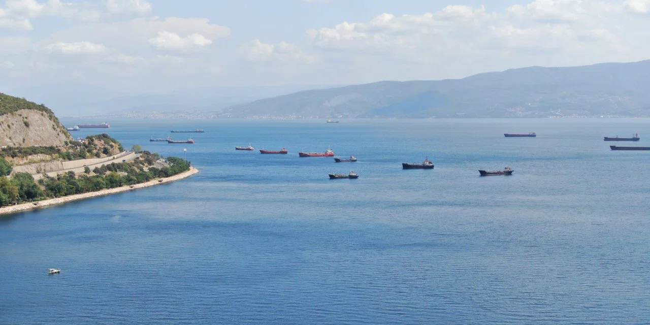 Körfez'deki toplu balık ölümleri mercek altında