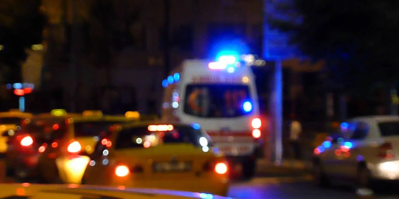 Konya'da kornalar acı olay için çaldı. Sokak köpeklerine konvoylu tepki